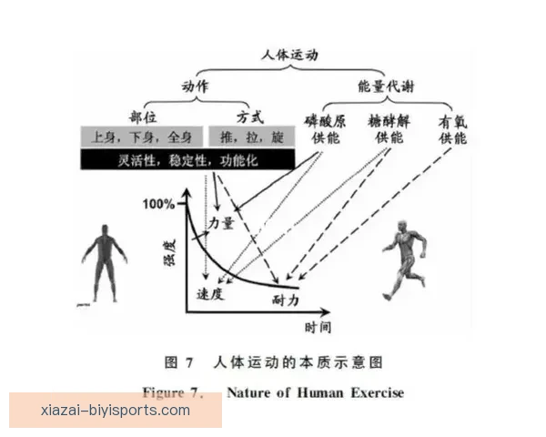 体育竞技表现提升的技术分析与科学训练方法研究探索
